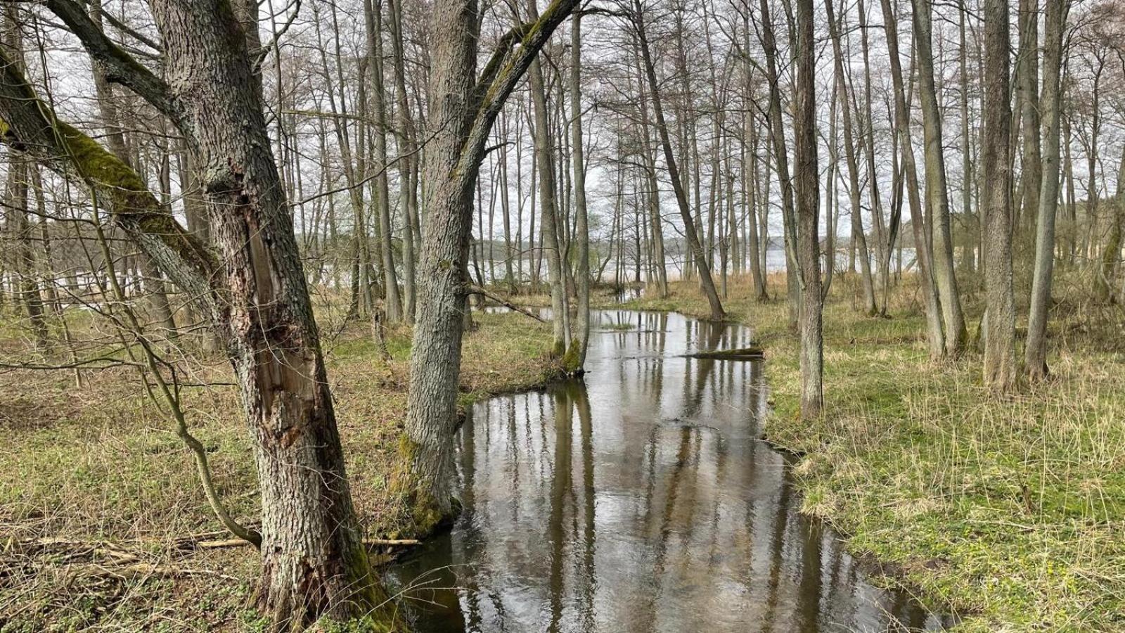 Utasiowka Mazury Villa