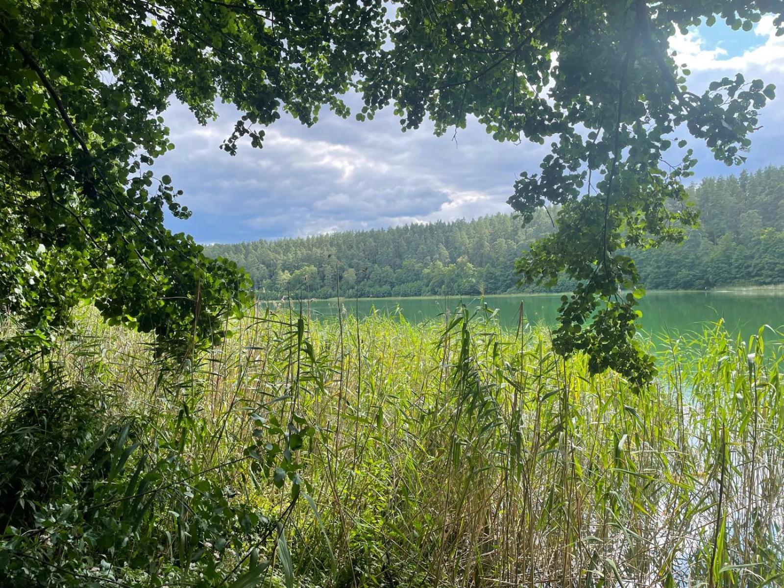 Utasiowka Mazury