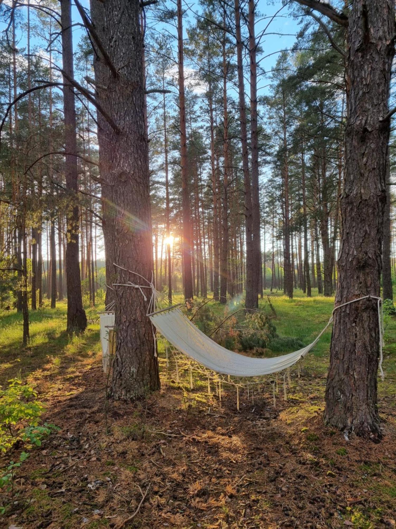 Utasiowka Mazury